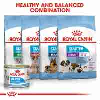 שימור רויאל קנין מיני סטרטר לכלבים 195 גרם - Royal Canin mini starter