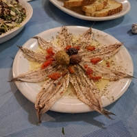 מארז קילו סרדינים מפולטים + מרינדה