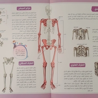 موسوعة جسم الانسان - الهيكل العظمي والعضلات