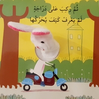 أرنوب والمواصلات