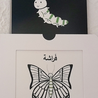 أكبر , وأنمو - كتاب التحفيز البصري للأطفال الرضع
