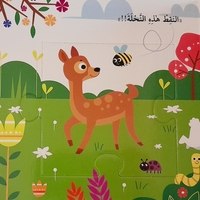 الفصول - كتاب الأحجية الكبيرة