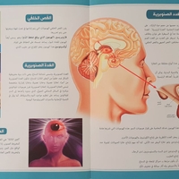 موسوعة جسم الانسان - الجهاز العصبي والجهاز المناعي والغدد