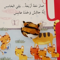 نمور والأرقام