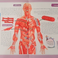 موسوعة جسم الانسان - الهيكل العظمي والعضلات