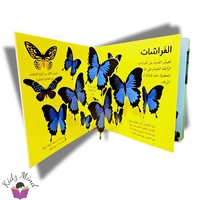 الغابة