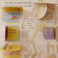 انظر داخل جسمك