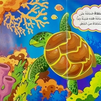 من يعيش في المحيط ؟ - أين تعيش الحيوانات ؟