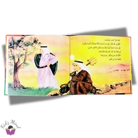 حبات الزيتون