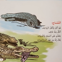 الزواحف والأسماك