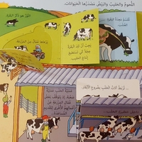 انظر داخل الطعام