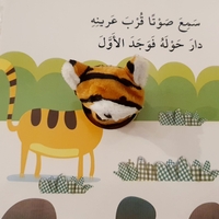نمور والأرقام