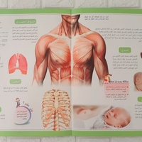 موسوعة جسم الانسان - أعضاء جسم الانسان