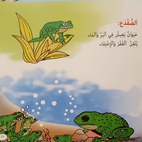 الزواحف والأسماك