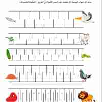 الكنز
