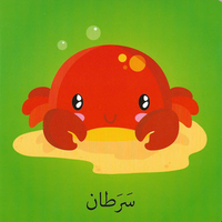 كلمات وصور – المغامرات البحرية