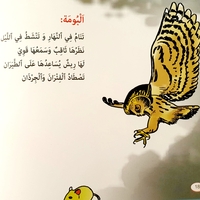 الطيور