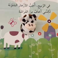 البقرة كاتي والفصول