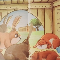 أرنوبي