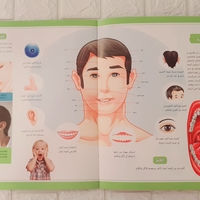 موسوعة جسم الانسان - أعضاء جسم الانسان