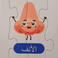 أجزاء من ألغاز الجسم
