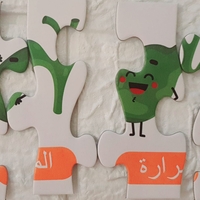 أجزاء من ألغاز الجسم