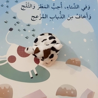 البقرة كاتي والفصول