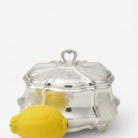 Oval pure silver Etrog box
