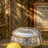 sawn pure silver Etrog box