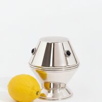 Yoni pure silver etrog box