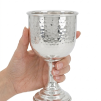 pure silver Kiddush Cup 