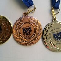 מדליה קוטר 5 סמ עם מדבקה