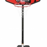 מתקן סל לחצר SWAGER SR1