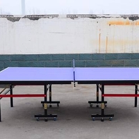 טניס שולחן פינג פונג פנים מקצועי PACIFIX דגם TOP INDOOR