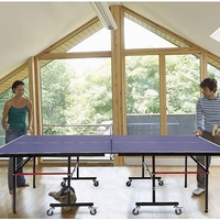 טניס שולחן פינג פונג פנים מקצועי PACIFIX דגם TOP INDOOR
