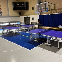 18 ממ שולחן פנים איכותי של TABLE TENNIS ISRAEL