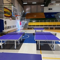 18 ממ שולחן פנים איכותי של TABLE TENNIS ISRAEL