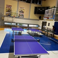18 ממ שולחן פנים איכותי של TABLE TENNIS ISRAEL