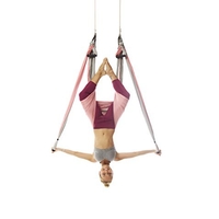 נדנדת יוגה Yoga Swing