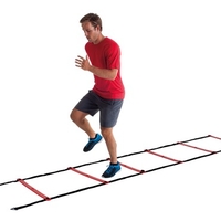 P2I200360 P2I AGILITY LADDER PRO PURE סולם זריזות 4.5 מ' 11 שלבים