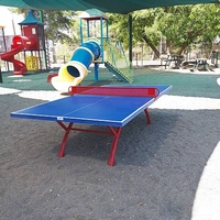 שולחן טניס שולחן פינג פונג חוץ קבוע לבית ספר למוסדות PARK 1000
