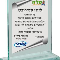 מגן זכוכית מלבני