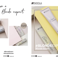 בלונד אקספרט צבע מבהיר אינדולה