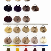 צבע לייף קולור- 100 גרם