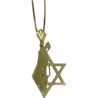 The Land of Israel pendant and half of the Star of David on the outside, silver