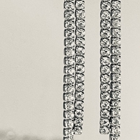 925 silver two-row tennis earrings