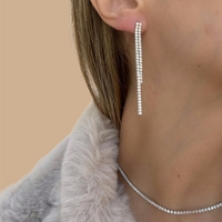 925 silver two-row tennis earrings