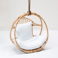 Nestle כסא נדנדה לתלייה