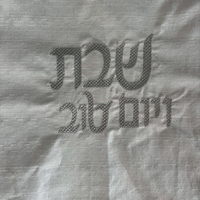 כיסוי חלה מפשתן לבן נצנצים עדינים עם רקמה כסופה 