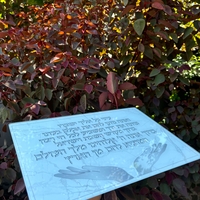 מגש חלה זכוכית עבה בלי שבירה 